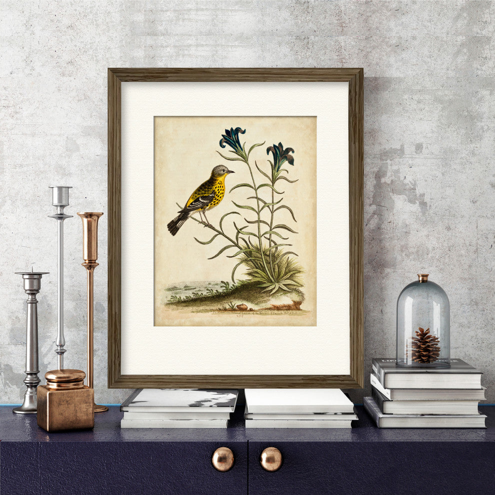 "Natural Habitat III" Gallery Collection Framed Art, 16"x20"