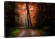 "In My Dreams " Wrapped Canvas Art Print, 24"x16"x1.5"