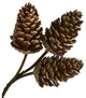 32" Pinecone Artificial Spray, Set of 6