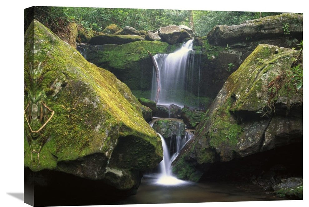 "Cascade, Great Smoky Mountains National Park, Tennessee" Artwork