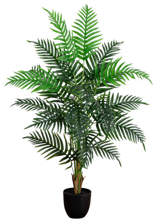 Full product shot on white background, entire plant visible; ideal primary product image.