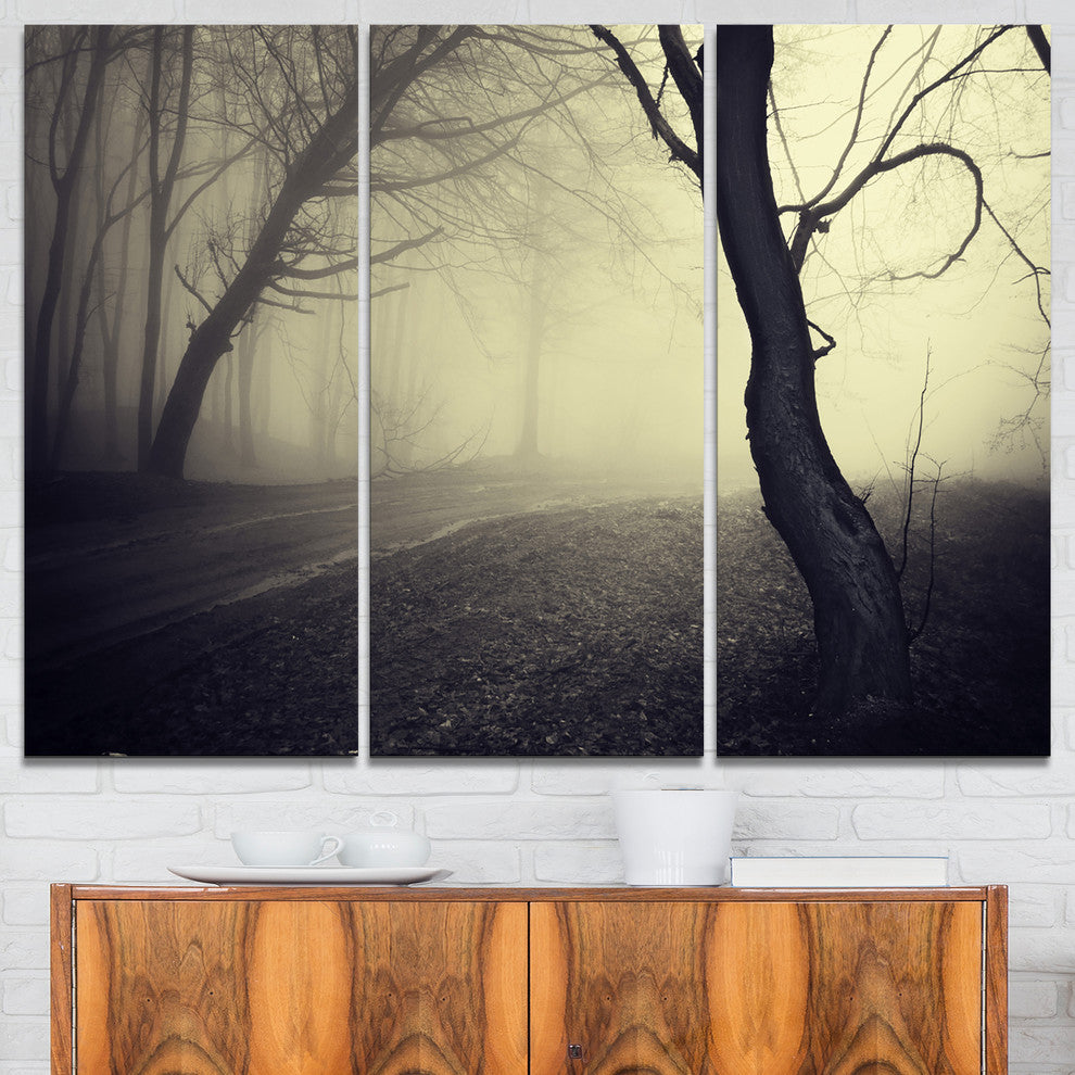 "Old Looking Fall Forest Shoot" Photo Canvas Print, 3 Panels, 36"x28"