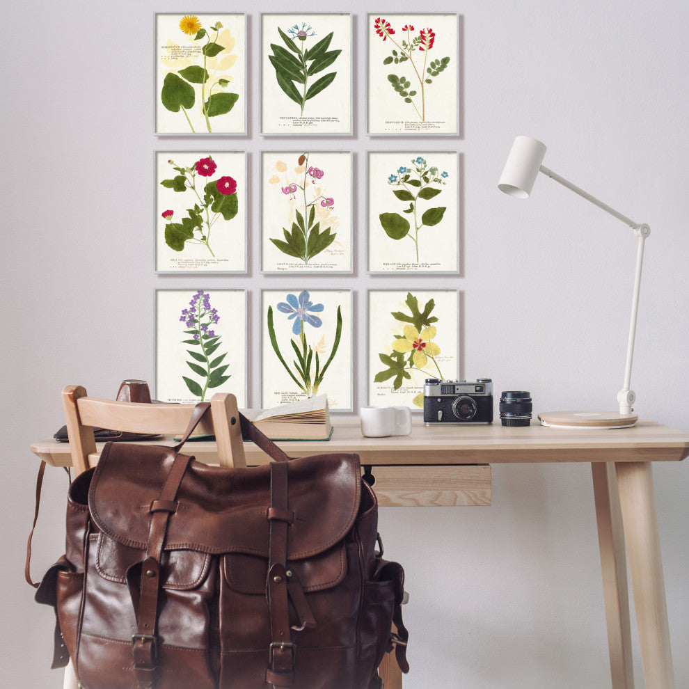 Latin Botanical Flower Study Vintage Antique Script,9pc, each 11 x 14