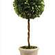 Elegant 23 in Tree Ball SphereTopiary in Pot Boxwood Greenery Faux Floral Single