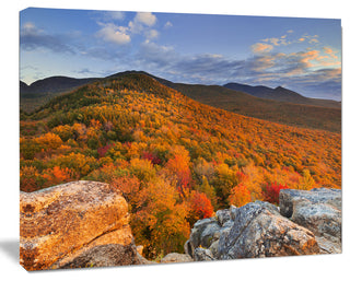 Endless Forests in the Fall Foliage, Landscape Canvas Art Print, 20"x12"