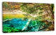 Colorful Lake with Tree Trunks, Landscape Canvas Wall Art, 32"x16"