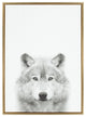 Sylvie Wolf Portrait Framed Canvas Wall Art by Simon Te Tai, Gold 23x33