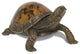 Tortoise Paperweight