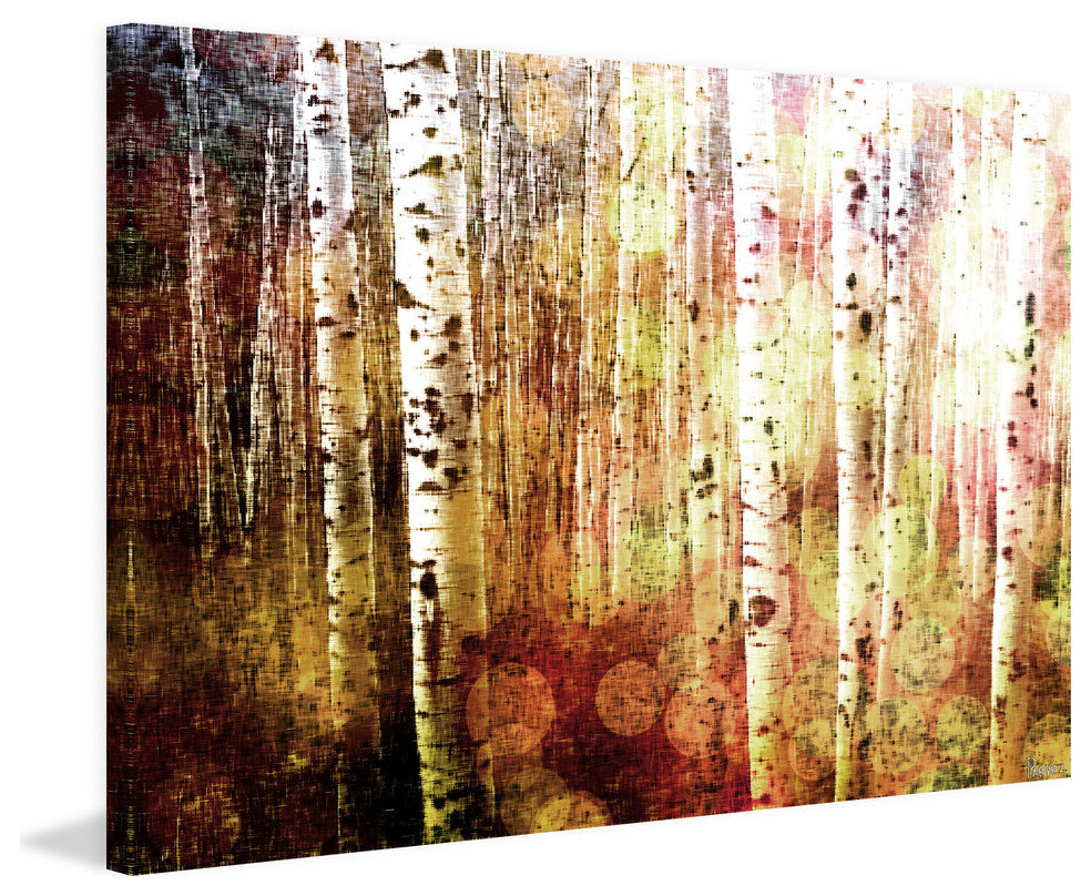 "Aspen " Fine Art Canvas Print, 24"x16"