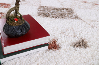 Noori Rug Shag Nolan Ivory/Rust Rug