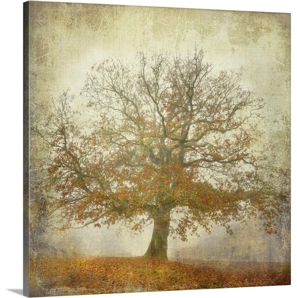 "Textured Tree " Wrapped Canvas Art Print, 24"x24"x1.5"