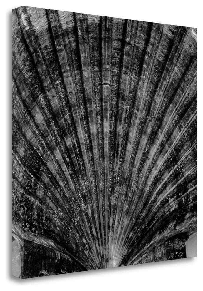 "Crystal Cove - 40" By Alan Blaustein, Giclee Print on Gallery Wrap Canvas