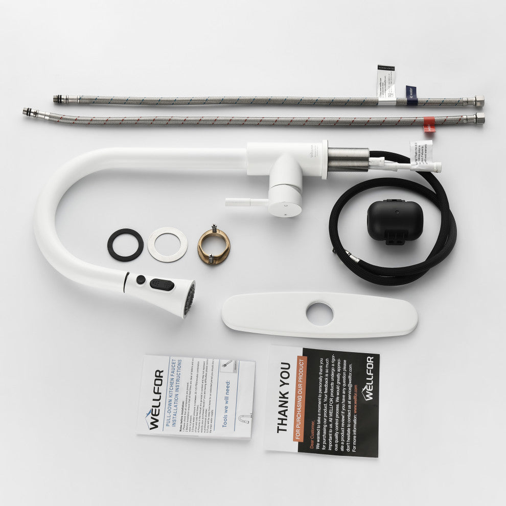 Wellfor Stainless Steel Kitchen Sink Faucet with Pull Down Spray, White