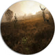 Mist Forest With Red Deer Stag, Landscape Photo Disc Metal Artwork, 36"