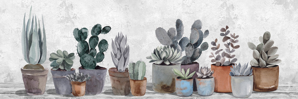 "Succulent Collection" Painting Print on Wrapped Canvas