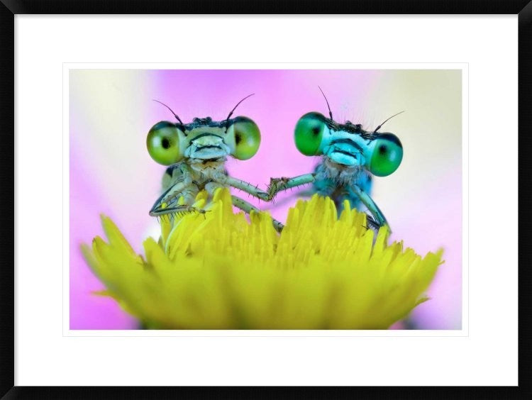 "Take my hand" Framed Digital Print by Ghizzi Panizza Alberto, 30x22"