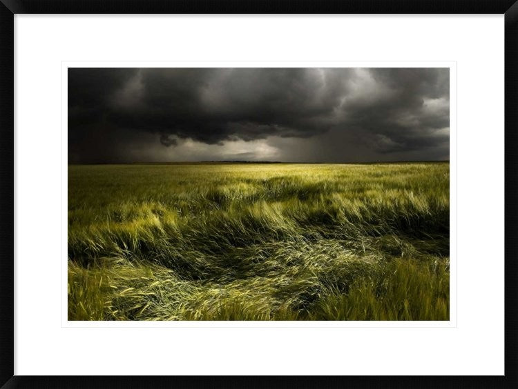 "Summer Weather" Framed Digital Print by Franz Schumacher, 30x22"