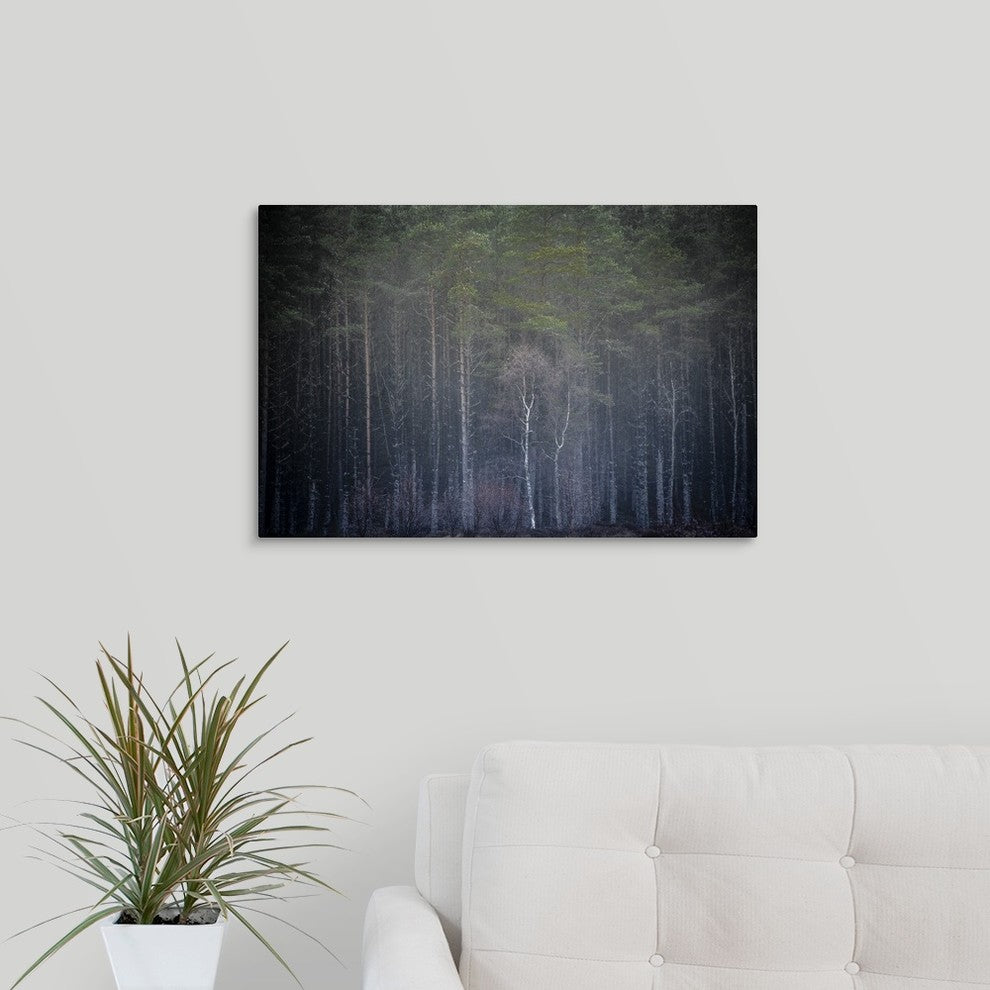 "Reach for the Sky" Wrapped Canvas Art Print, 24"x16"x1.5"