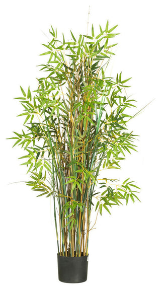 Full product on white background; front-facing view; no text overlays; matches primary product criteria.