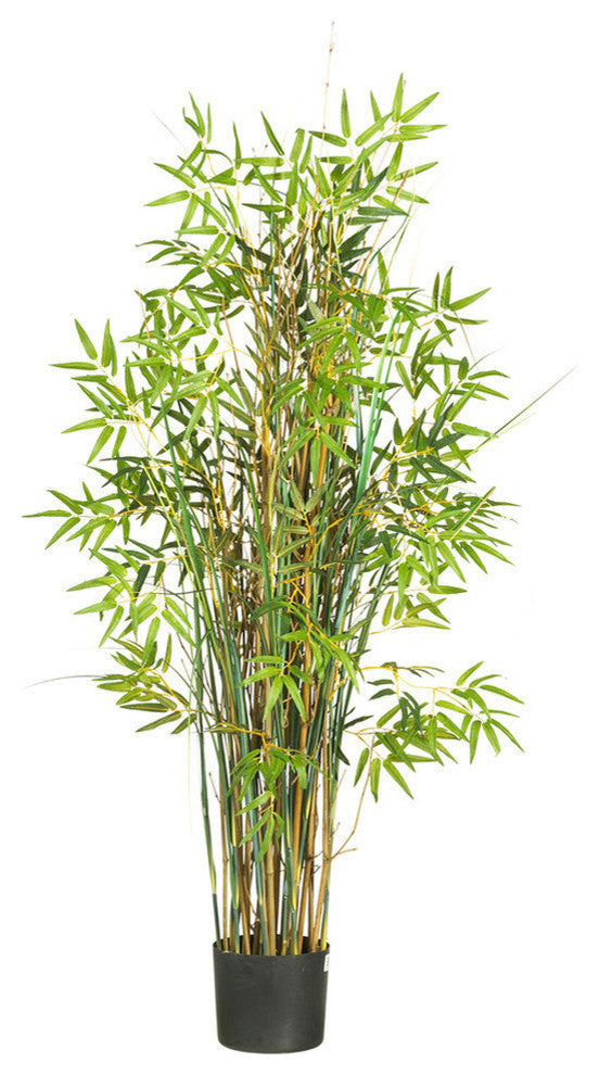 Full product on white background; front-facing view; no text overlays; matches primary product criteria.