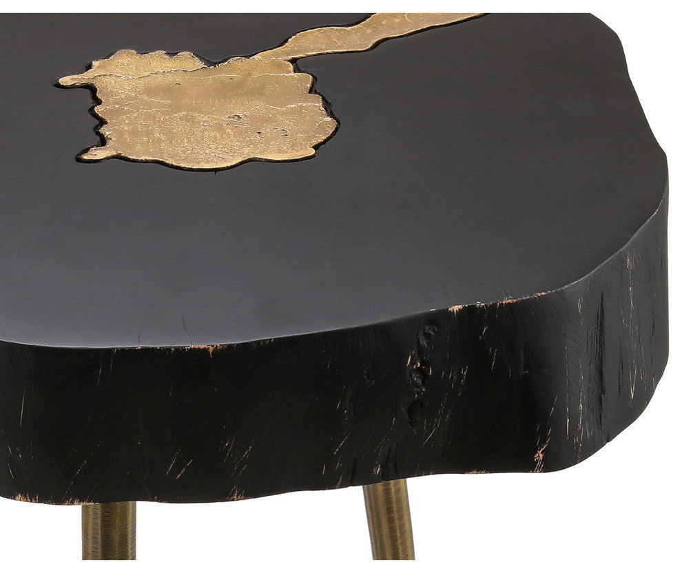 TOV Furniture Timber Black and Brass Side Table