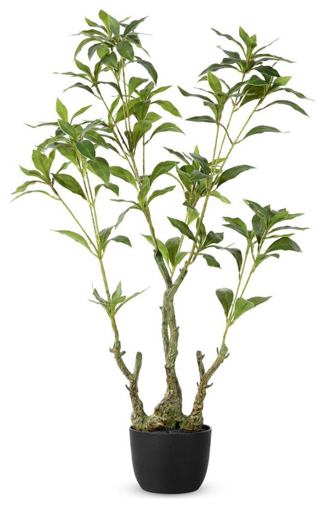 Shows the full potted plant with a clean white background and a front-facing presentation, suitable as the main product image.