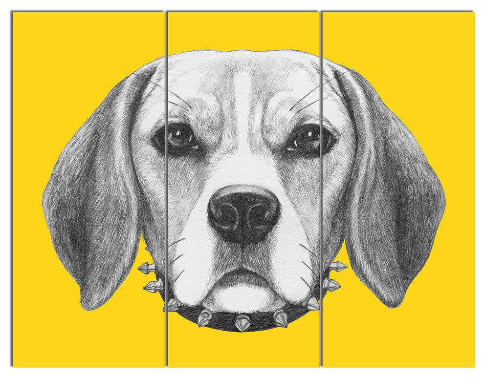Funny Beagle Dog with Collar, Animal Triptych Canvas Art Print, 36x28, 3 Panels