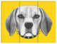 Funny Beagle Dog with Collar, Animal Triptych Canvas Art Print, 36x28, 3 Panels