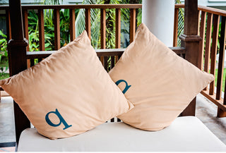 18" x 18" Modern Monogram Indoor/Outdoor Polyester Throw Pillow, Autumn Blue