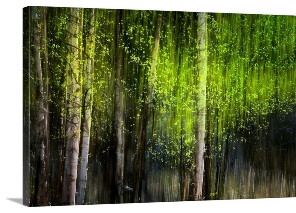 "Matrix " Wrapped Canvas Art Print, 24"x16"x1.5"