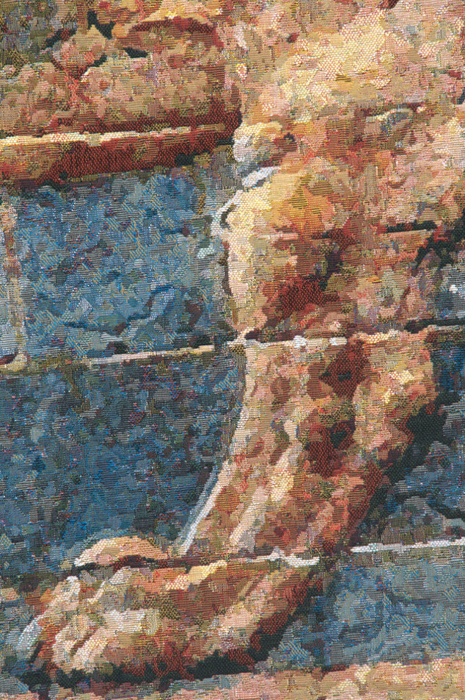 Lion II Darius Belgian Wall Tapestry