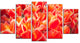 Tulip Flowers in the Keukenhof Park, Floral Canvas Print, 60"x32", 5 Panels