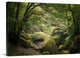 "Huelgoat Forest in Brittany" Wrapped Canvas Art Print, 24"x16"x1.5"