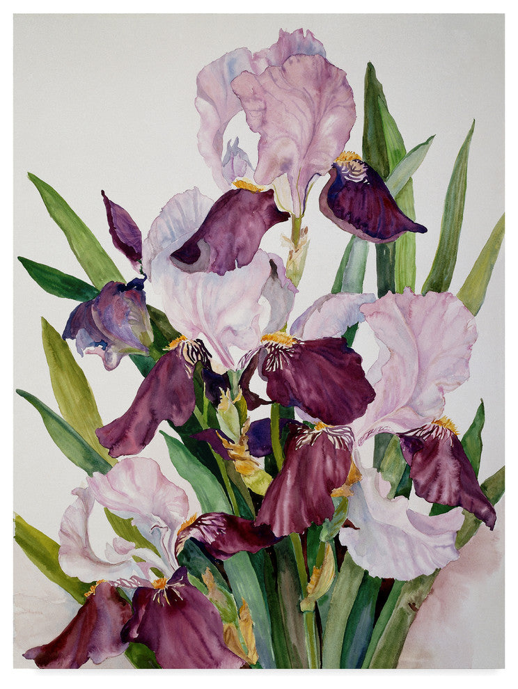 Joanne Porter ''Pink Maroon Iris'' Canvas Art, 32"x24"