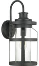 Haslett Collection 1-Light Large Wall Lantern, Black