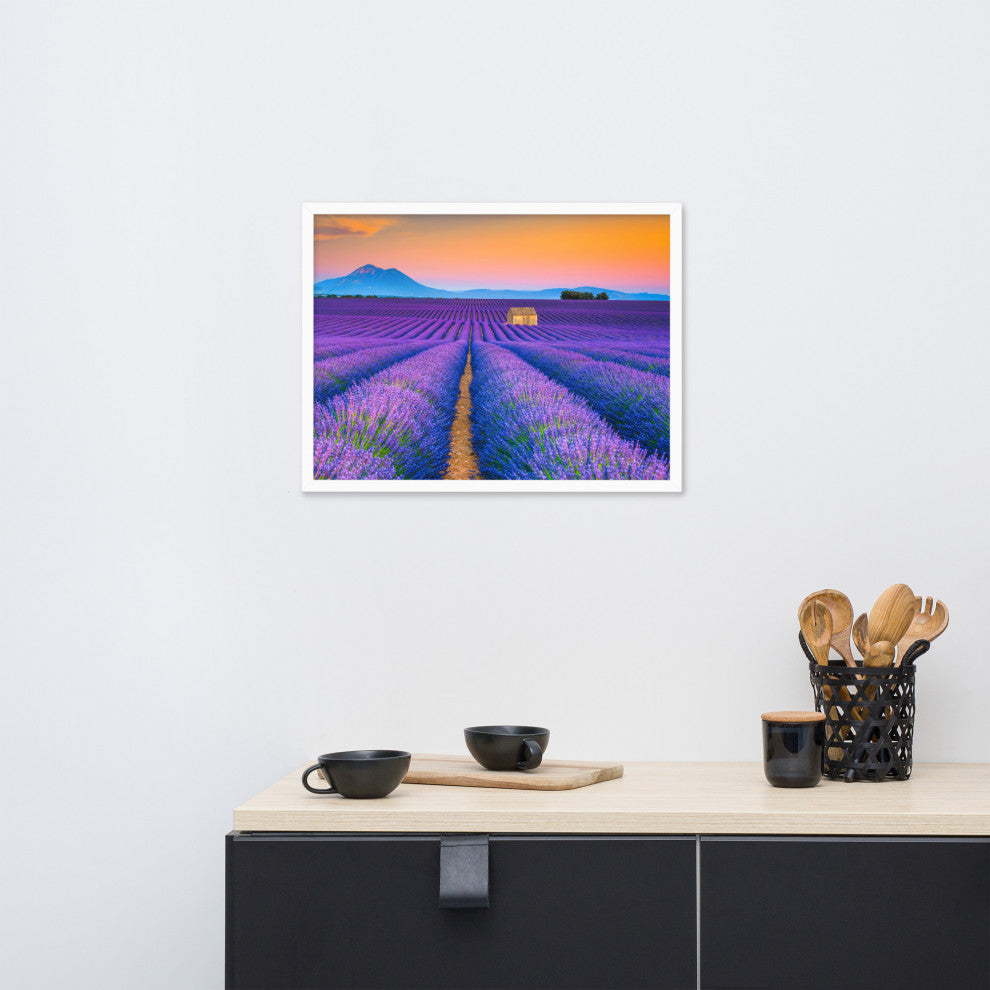 Blooming Lavender Field and Sunset Floral Landscape Framed Photo Wall Art Prints, White, 18" X 24"