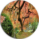 Old Japanese Maple Tree, Landscape Photography Round Metal Artwork, 23"