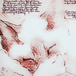 Dreaming Cat Throw Pillow, 17x17