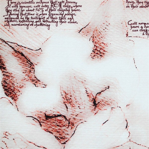 Dreaming Cat Throw Pillow, 17x17