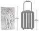Equine Grandeur Horse Frieze