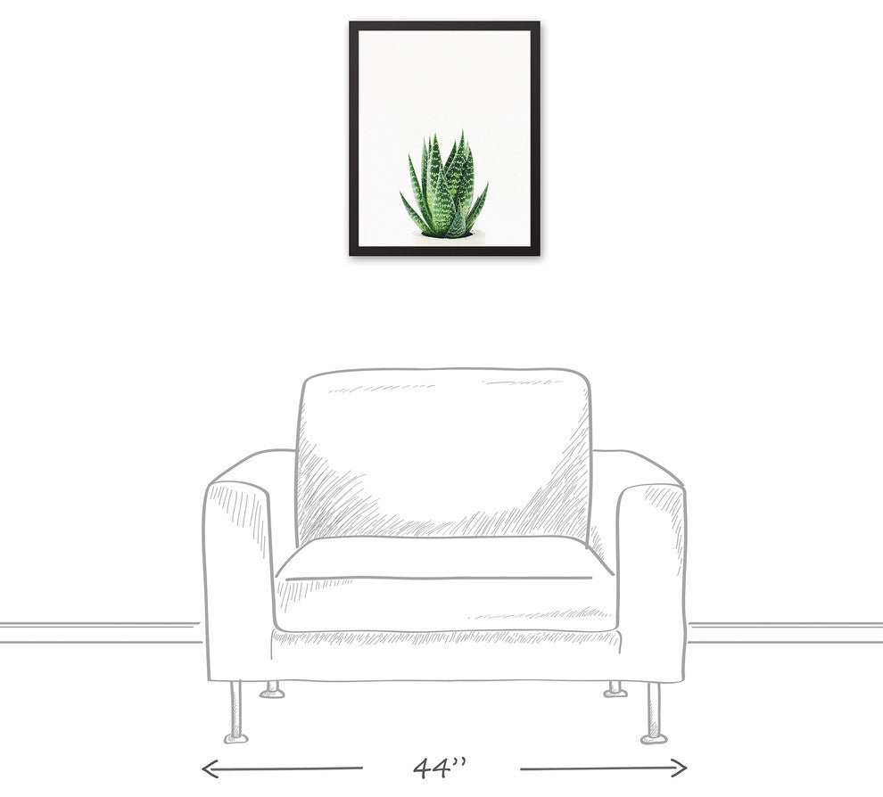 Snake Plant 16x20 Black Framed Canvas