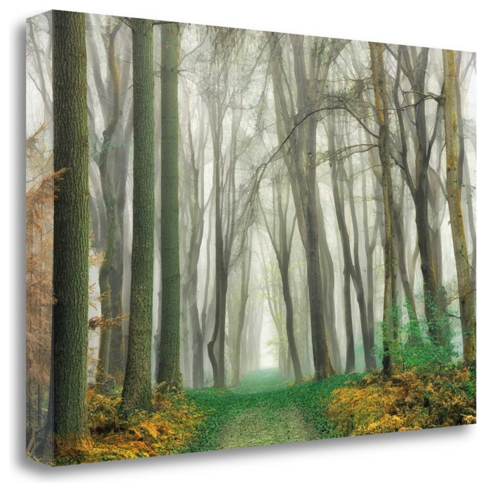 "Magic Is Everywhere" By Lars Van De Goor, Giclee Print on Gallery Wrap Canvas