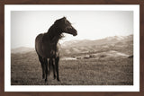 "Horse in Wind" Framed Painting Print, 36x24