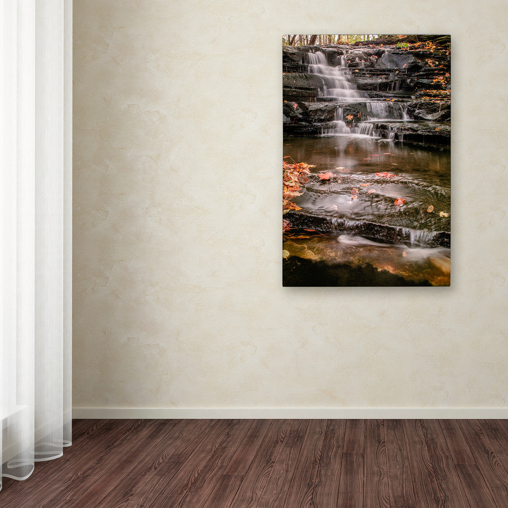 Jason Shaffer ''Hidden Falls 2'' Canvas Art, 30x47