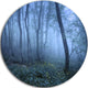 Trail Through Blue Fall Forest, Landscape Round Metal Wall Art, 36"