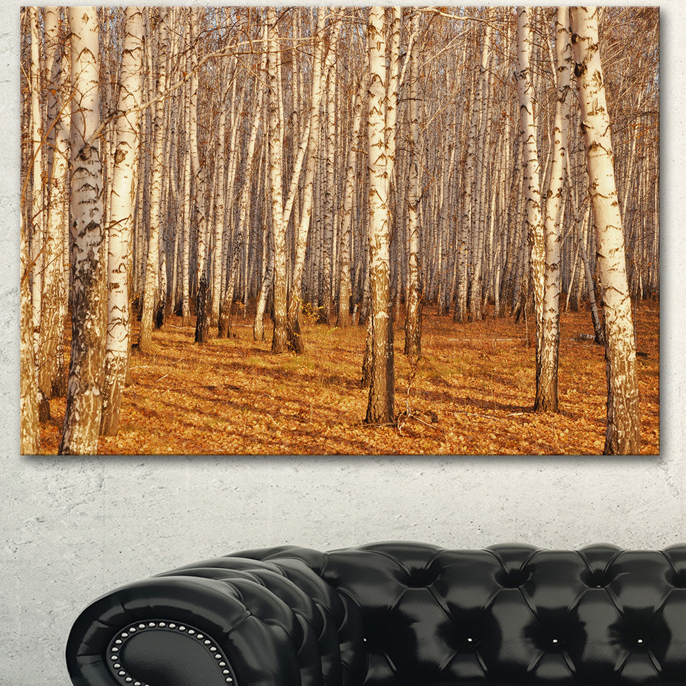 Dense Birch Forest in the Fall, Forest Canvas Art Print, 40"x30"