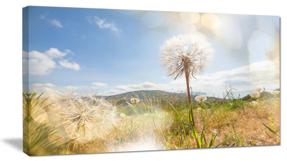 Blooming Dandelion under Bright Sky, Floral Canvas Art Print, 32"x16"