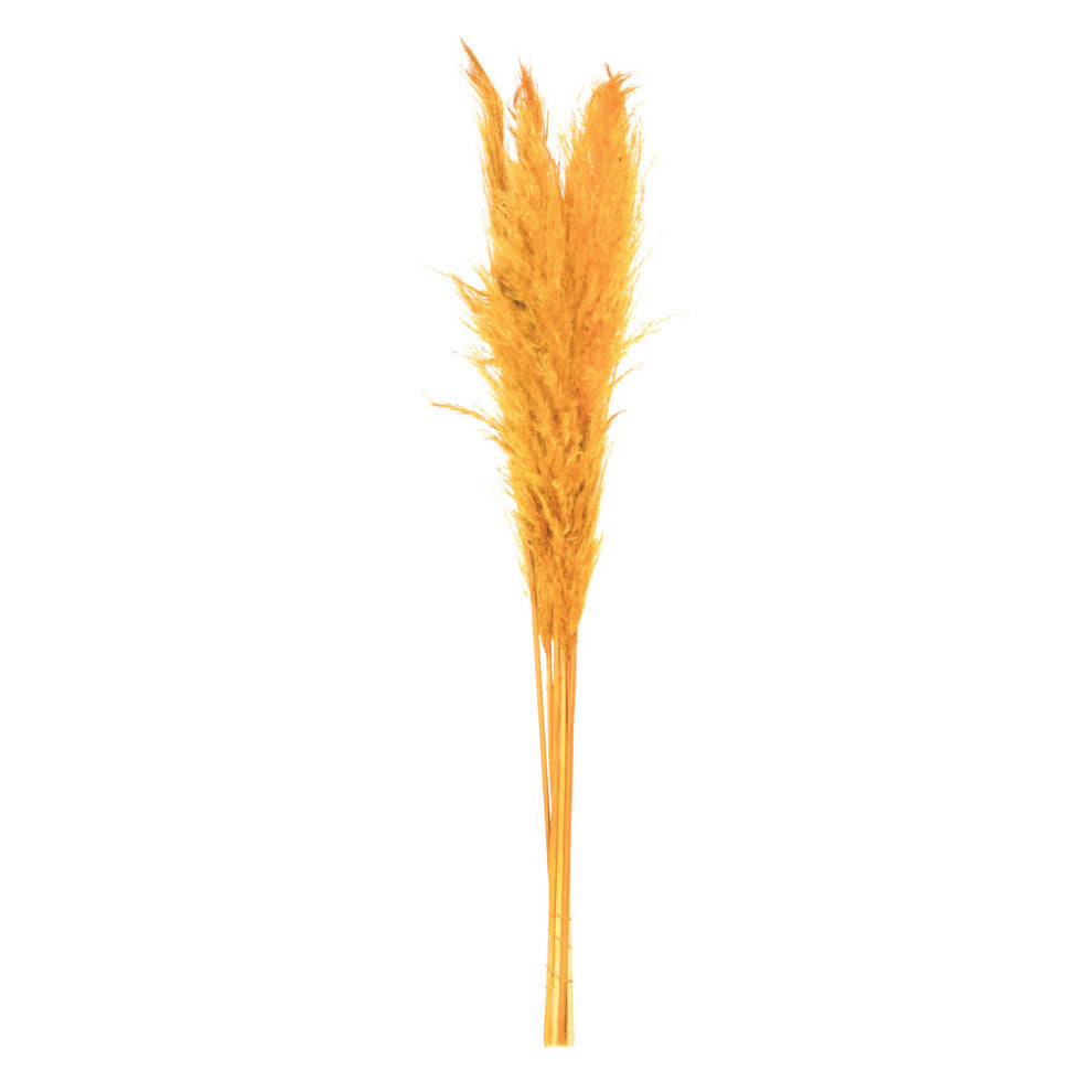 Vickerman 46" Dried Pampas Grass, Aspen Gold