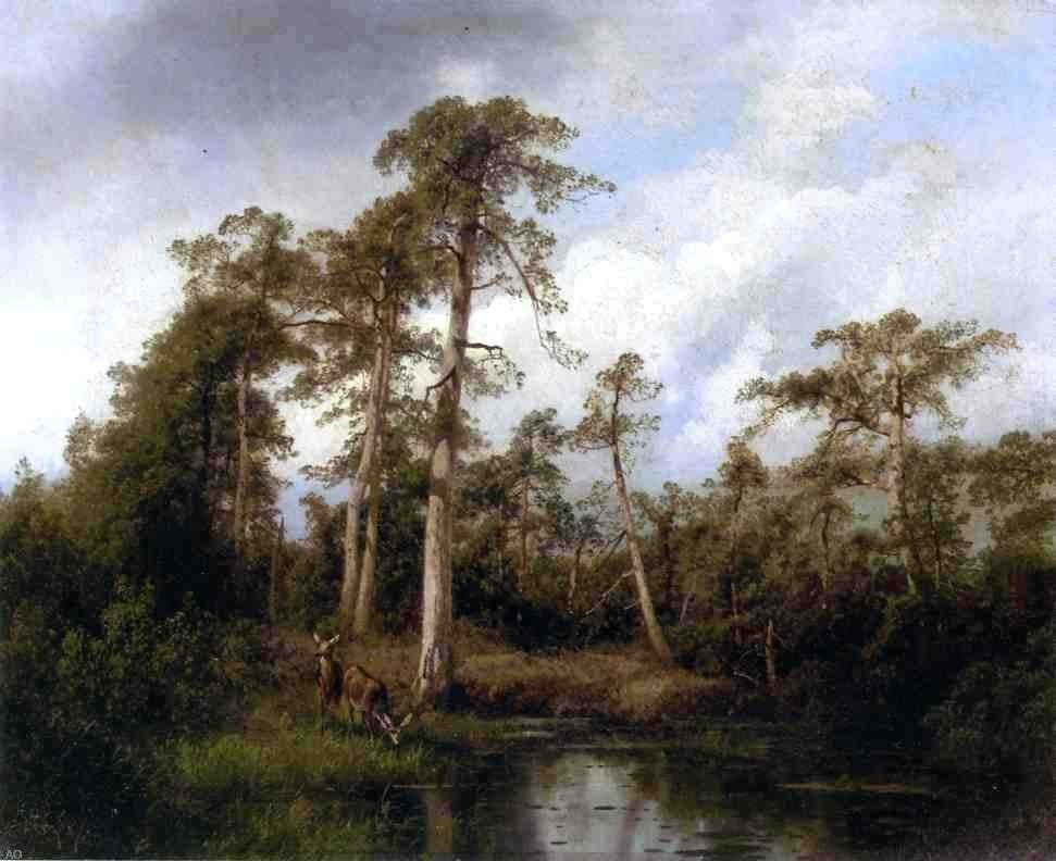 Herman Herzog Florida Live Oaks With Deer, 20"x25" Wall Decal