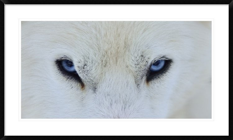 "Mirada Azul" Framed Digital Print by Miquel Angel Artus, 44x26"